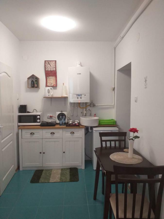 BistriţaSara House公寓 外观 照片